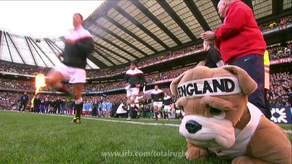 England's Alex Corbisiero goes back to his roots in New York