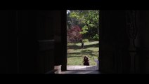 Angel Olsen - Windows (Official Video)