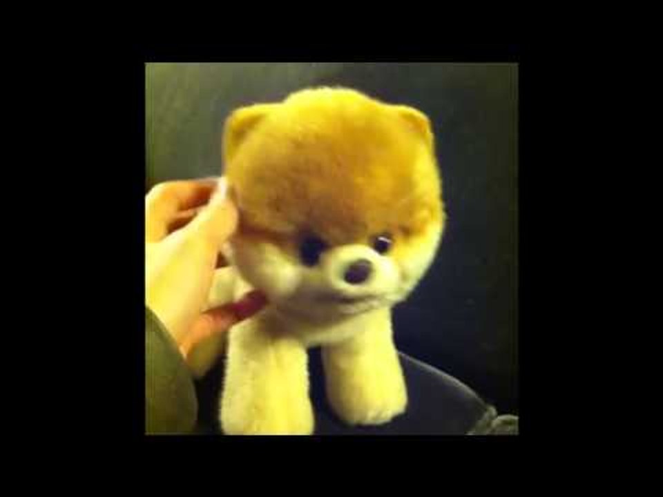 Brittany's Dogs Compilation 2: Brittany Furlan's Vine