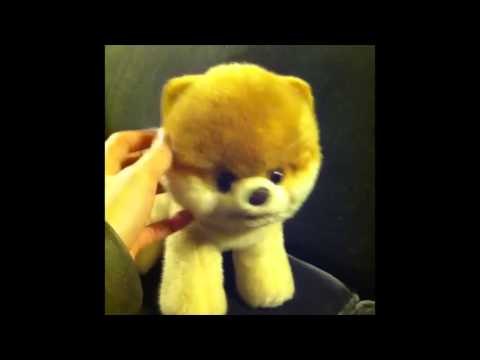 Brittany's Dogs Compilation 2: Brittany Furlan's Vine