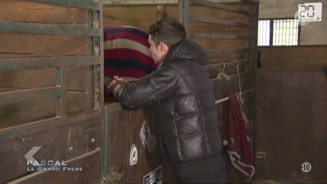 L'ado le plus capricieux du monde dans Pascal le grand frère