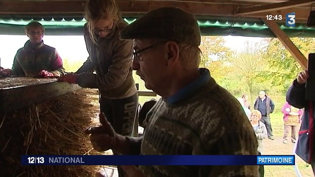 En Normandie, un groupe d'amis se réunit pour préparer un cidre authentique
