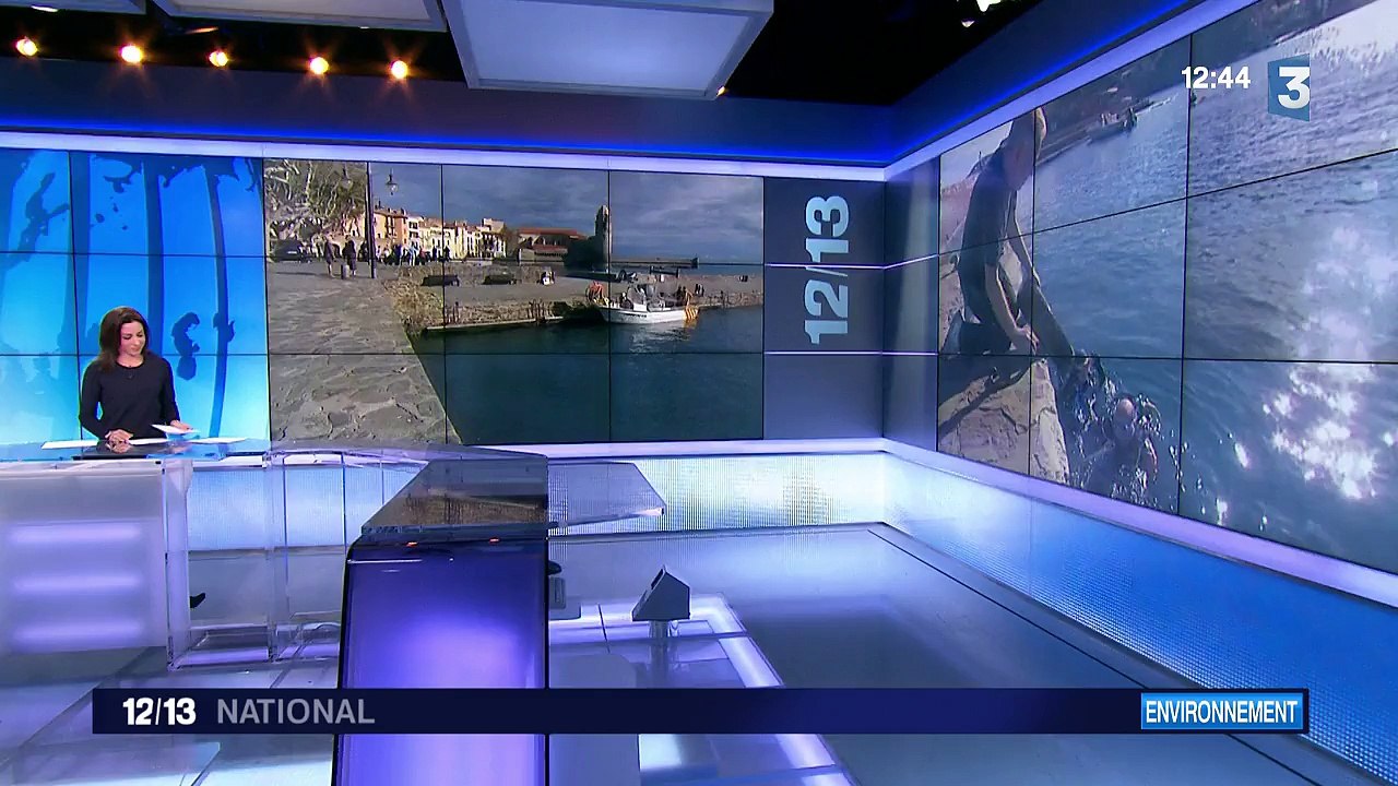 Des plongeurs réunis pour nettoyer le port de Collioure