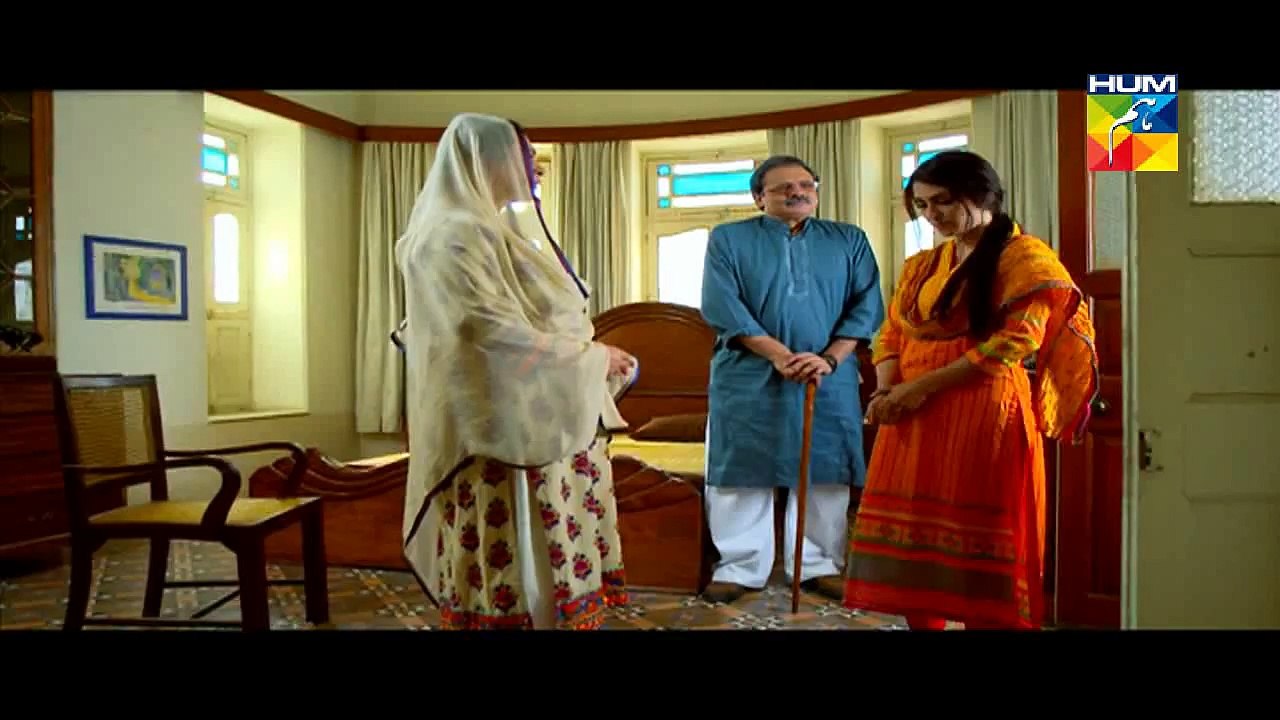 Mere Mehrban Last Episode HUM TV Drama Part 2 online video