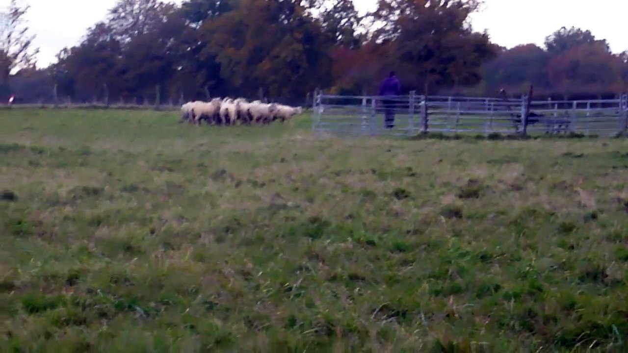 Titou, 2eme partie, le 17/11/14