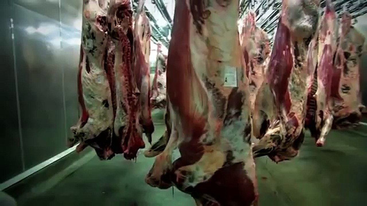 Documentaire sur la viande ! Clairement expliqué ce que c'est la viande. INUTILE