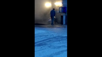 Il lave son chien dans un lave-auto