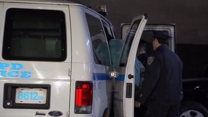 French tourist arrested for climbing fence at Brooklyn Bridge