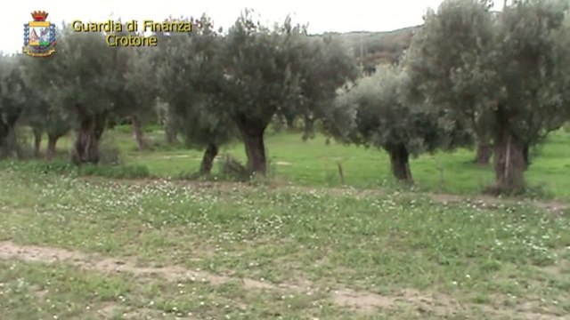 Crotone - denunciati 100 falsi braccianti agricoli, truffa da 620mila euro