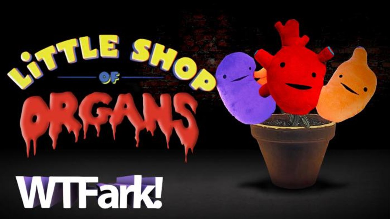 LITTLE SHOP OF ORGANS: I Heart Guts Sells Plush Organs To Kids! Organs Like Testicles! And Rectums! And Mammary Glands! Fun For The Whole Family!