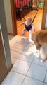 Cão tenta ensinar bebé a saltar!