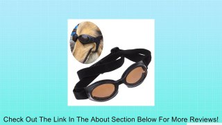 TOMTOP Fashion Doggles Dogs UV Sunglasses Pet Protective Eyewear(Blue,Black,Pink) Review