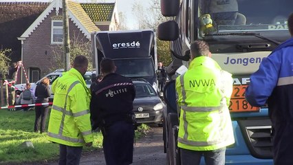 Nuevo brote de gripe aviar en Europa