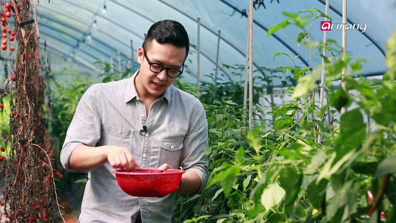 Chefs Foodcation Ep05