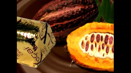 Which of These Chocolate Skin Care Products is Best for You