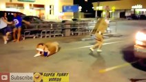 CRAZY FUNNY VIDEOS  Awesome Wins & Fails Compilation NEW !!!