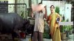 Telugu Comedy Scenes Brahmanandam with Kovai Sarala, MS Narayana & L.B.Sriram (2) in Ottesi Cheputunna