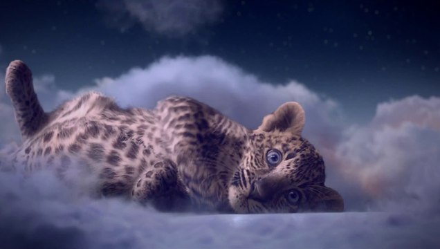 Cartier Winter Tale 2104