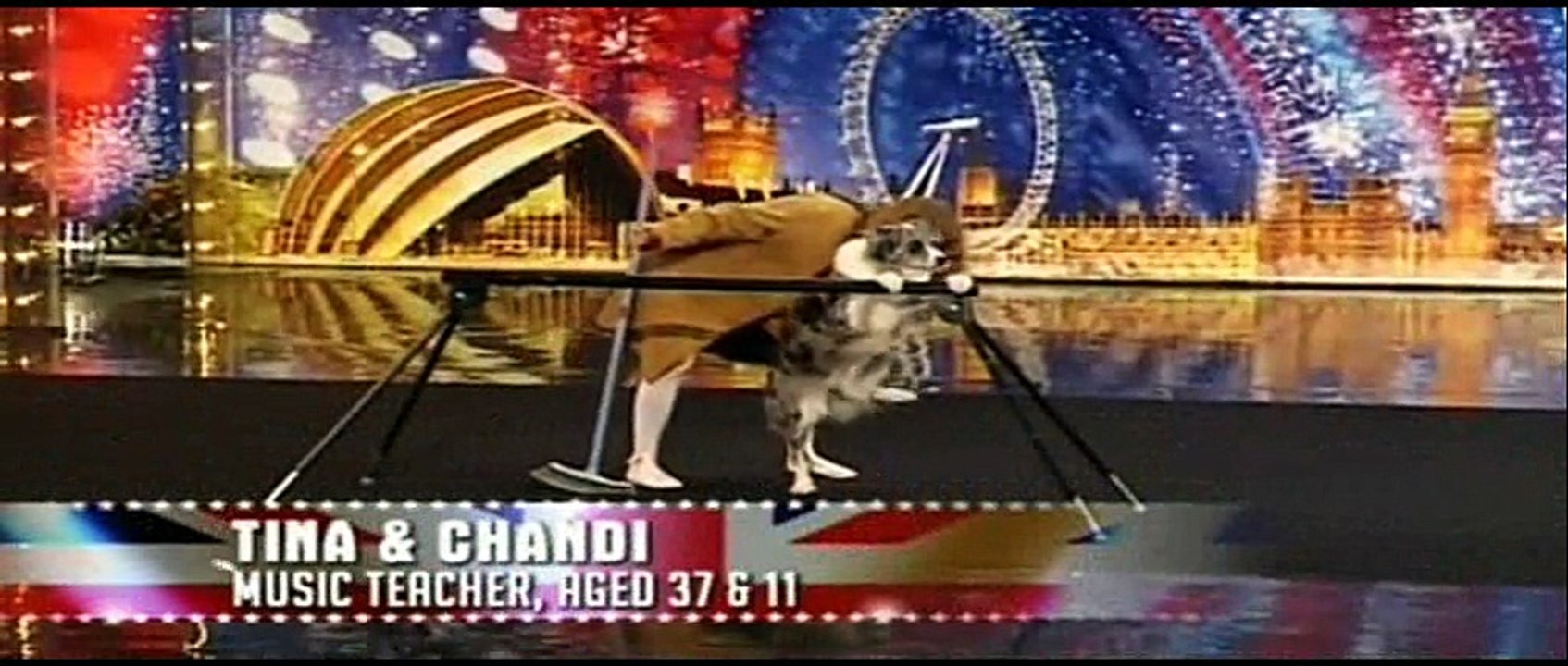 Talented Dog 2