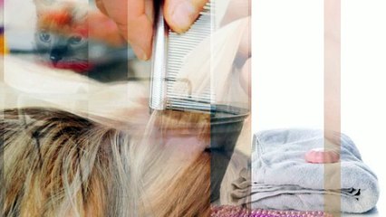 Ann's Precious Pets (636) 456-2664