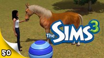 Sims 3 Pets - Ep 50 - Our New Horse!