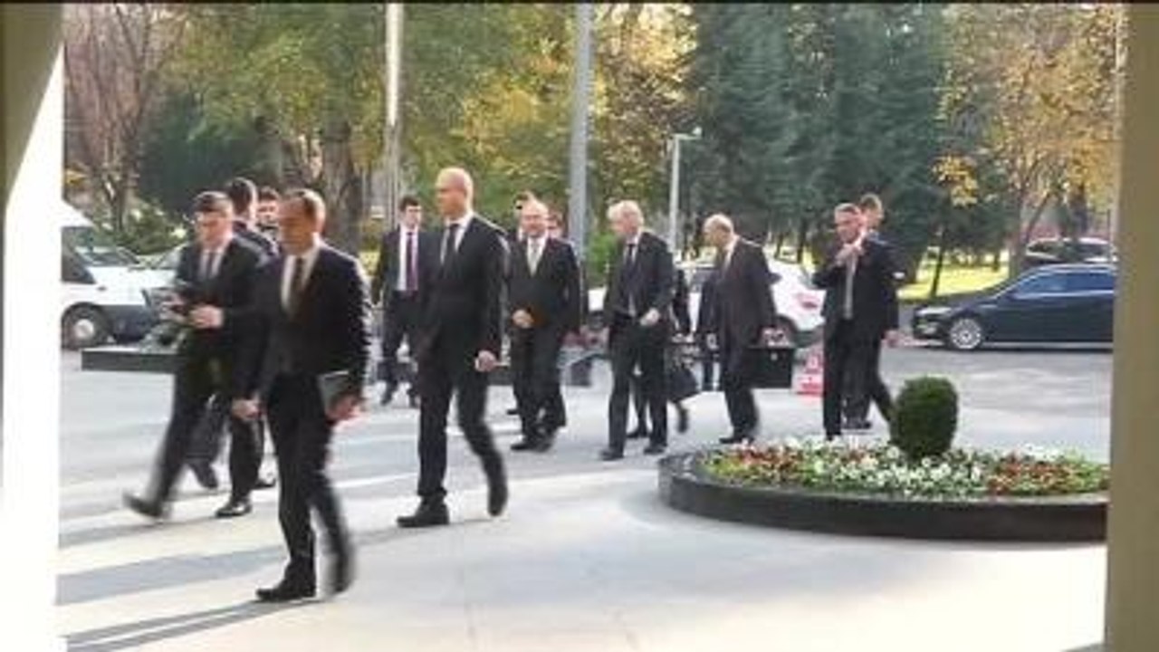 Çavuşoğlu-Tuomioja