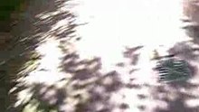 RULITO 2