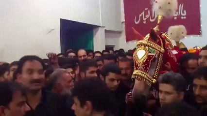 Nisar haveli 10 Muharram 2014/1436hj