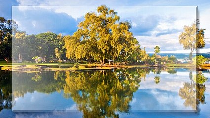 Reverse The Aging Appearance With Botox Treatment