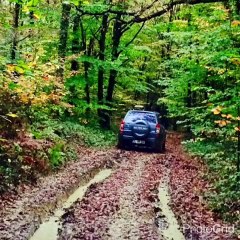 16 kasım Belgrad gezimiz