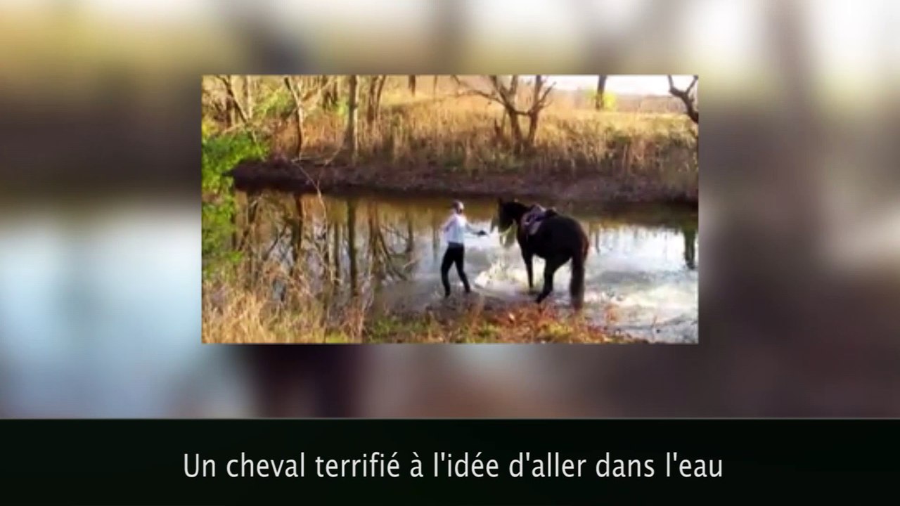 En plein concert, il pète les plombs, casse sa guitare et disparaît !