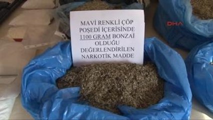 Gaz Maskeli Bonzai Çetesi