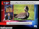 Rauf Klasra Exposed PM Nawaz Sharif for Giving Permission to 4 Arabs States for Bird Hunting in Pakistan