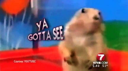 Monkey Steals Pen From Police Officer