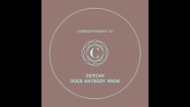 DEMIAN - Does Anybody Know - CORRESPONDANT #32