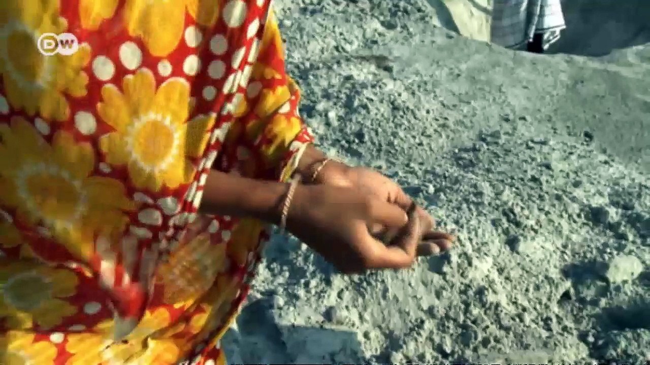 Bangladesch - Strategien gegen die Flut | Global 3000