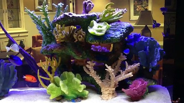 Sawgrass, FL. Custom Aquarium 904.588.2700 Sawgrass, Florida.