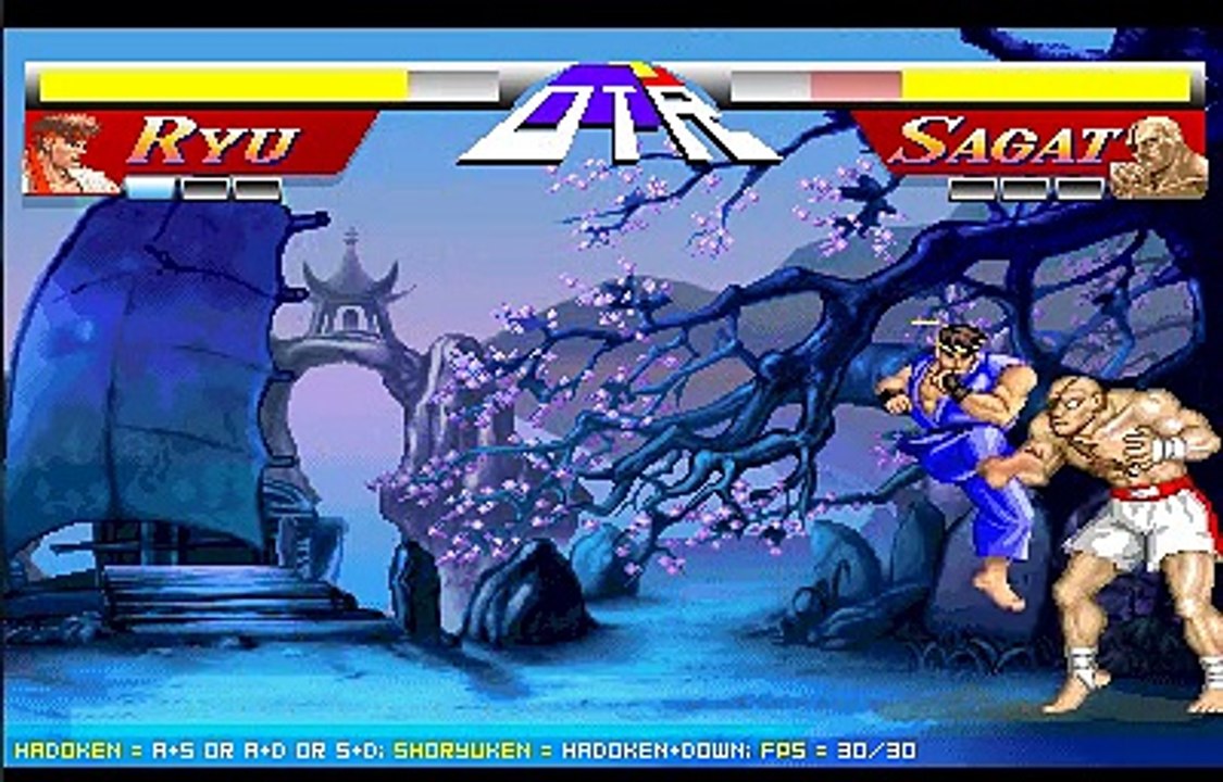 Street Fighter 2 Flash Ryu vs Sagat - video Dailymotion