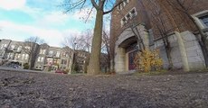 squirrel Filmé avec ma Go Pro