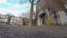 squirrel Filmé avec ma Go Pro