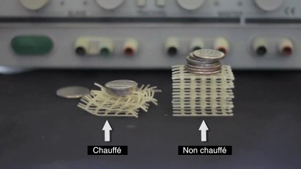 Les robots mous du MIT