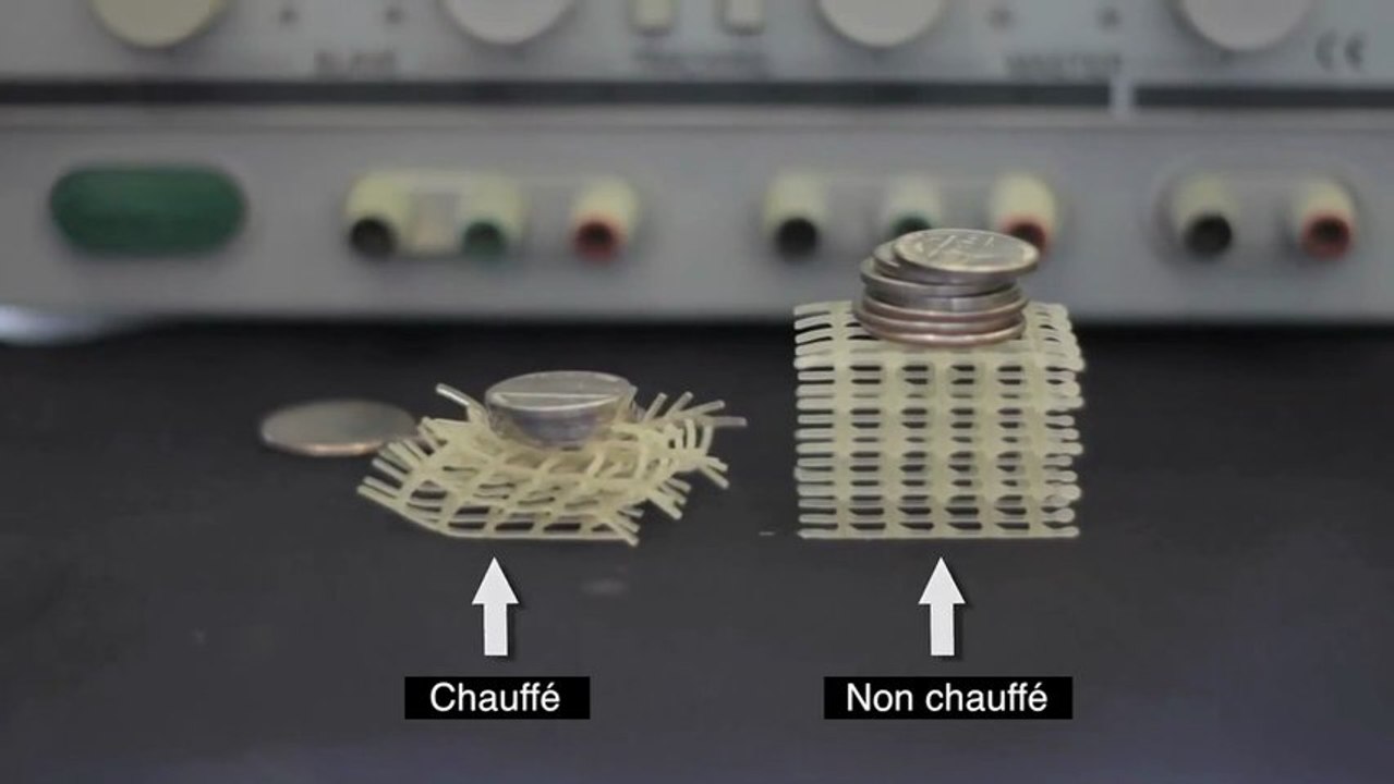 Les robots mous du MIT