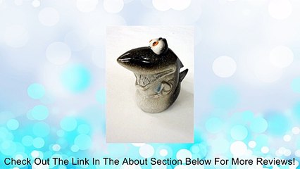 Comical Shark Bank - Piggy Bank, Coin Bank - 5" X 5" Ceramic