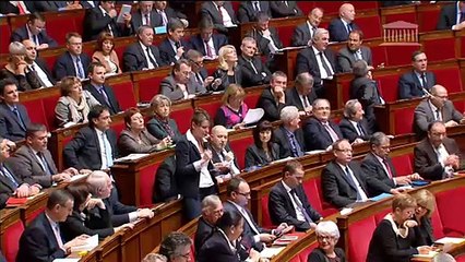 "La fiscalité écologique n'est ni punitive, ni une fiscalité supplémentaire, mais une fiscalité incitative"