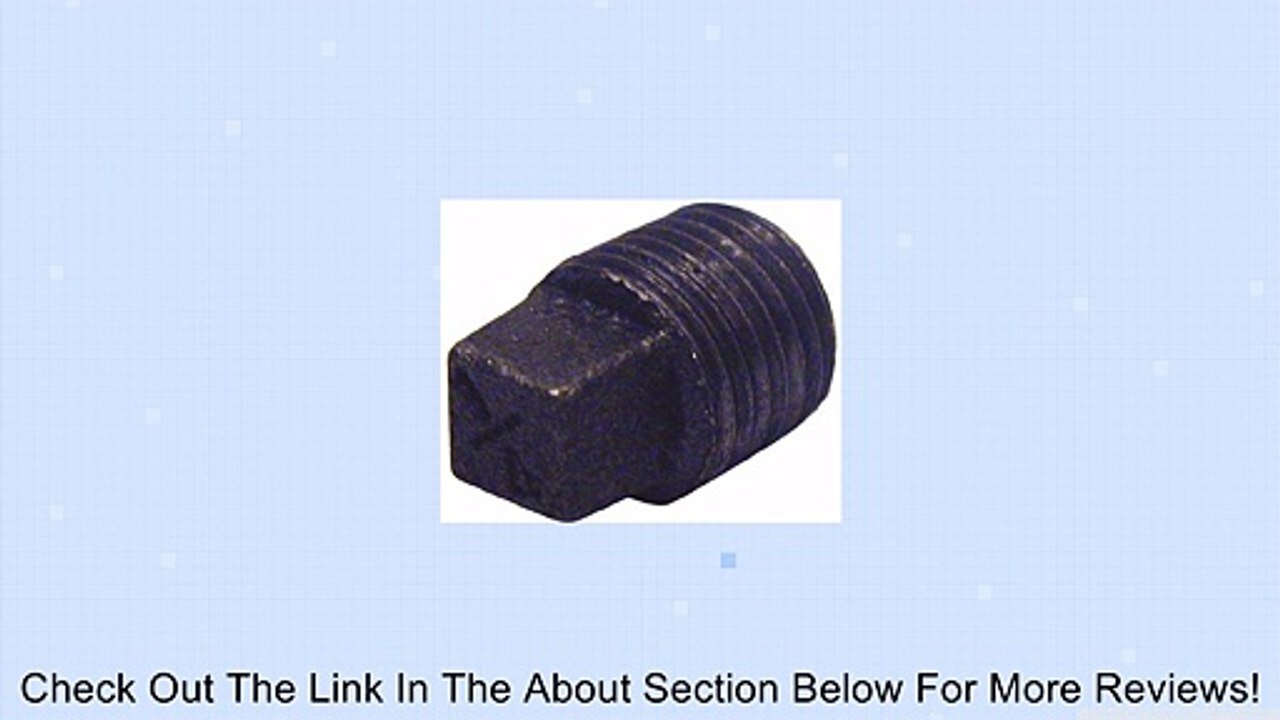 1/2 BLK Plug Review