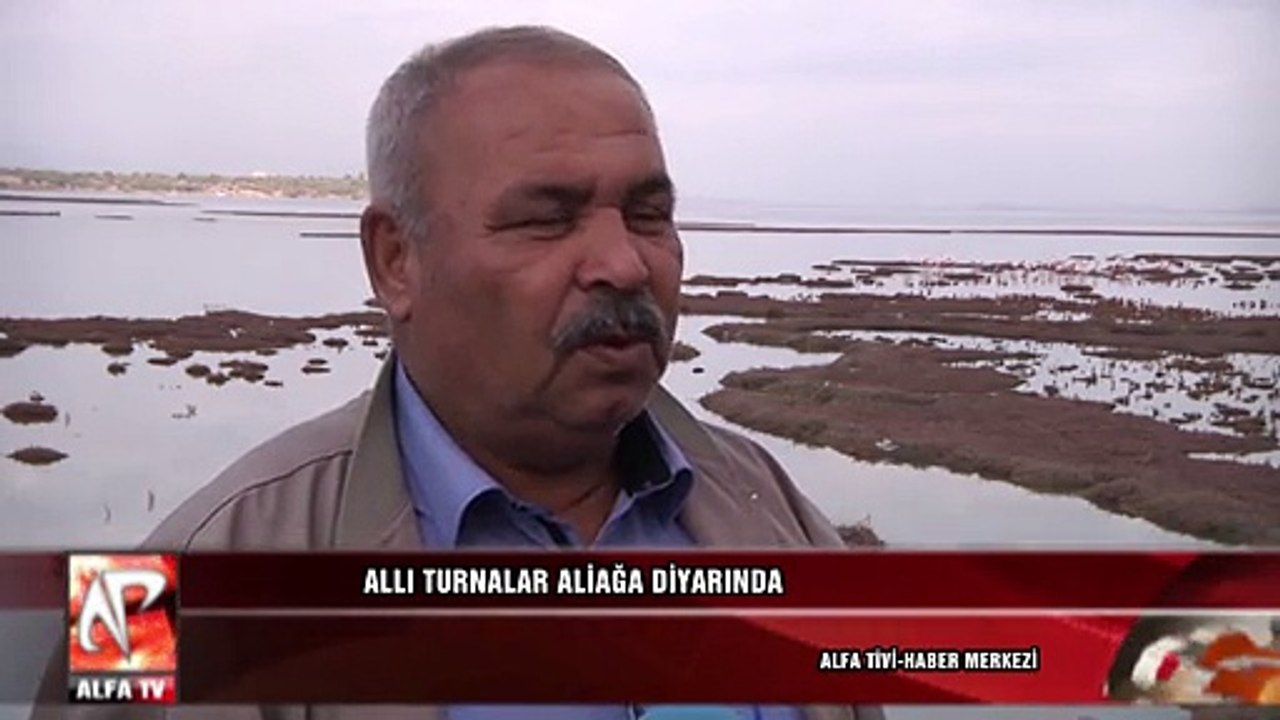 Allı Turnalar Aliağa Diyarında