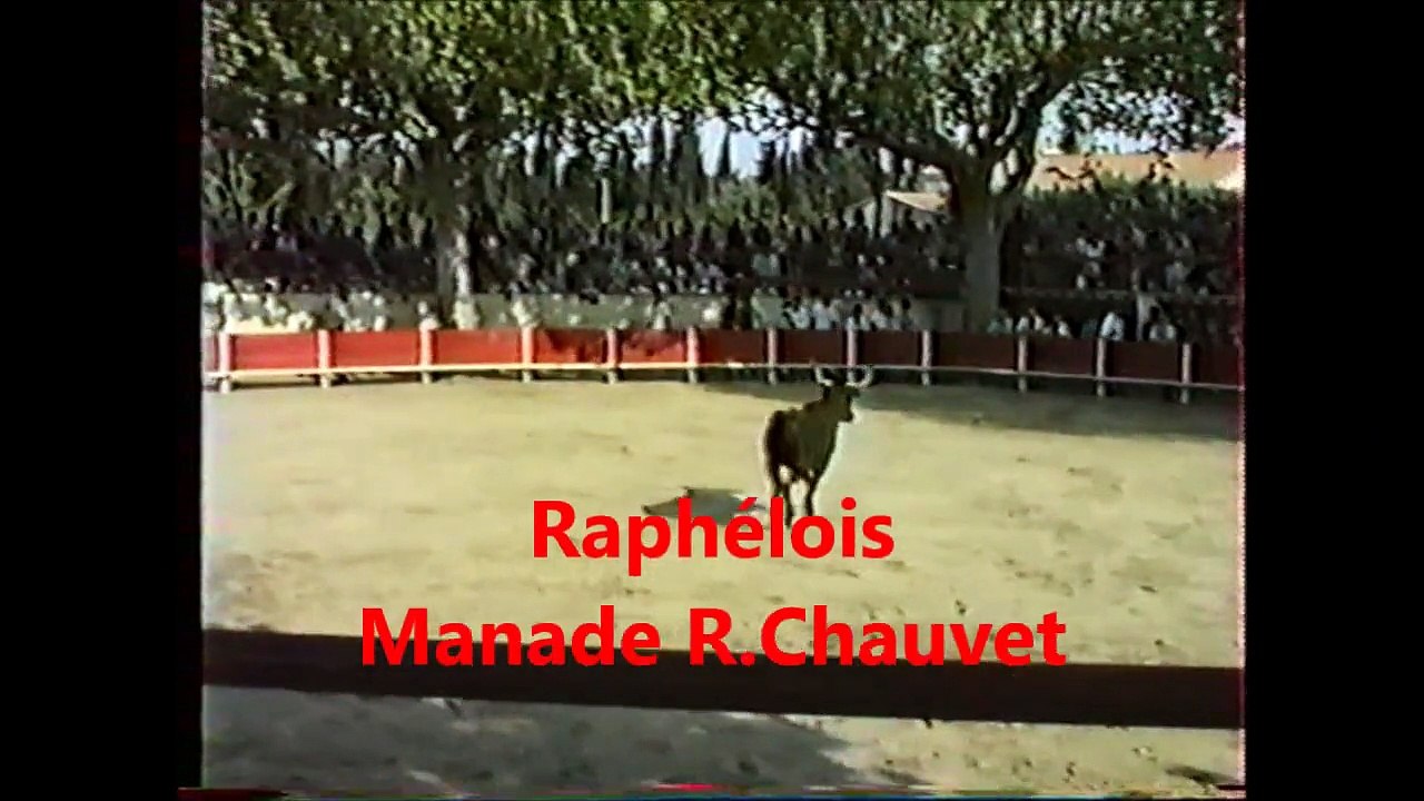 Les PALUDS de Noves, Angelus et Raphelois de R. Chauvet le 1 Mai 1990