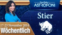 Stier, Wöchentliches Horoskop,  17-23 November 2014
