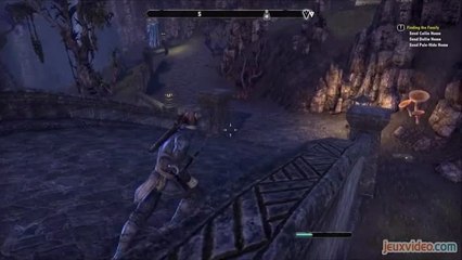 Looking For Games - La nostalgie : le MMO à ses débuts