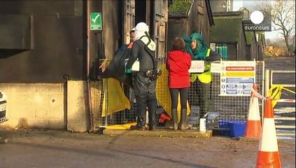 Gripe das aves leva autoridades britânicas a abaterem 6000 patos